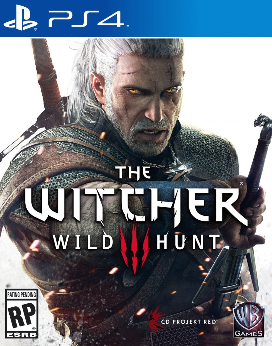 THE WITCHER 3 WILD HUNT